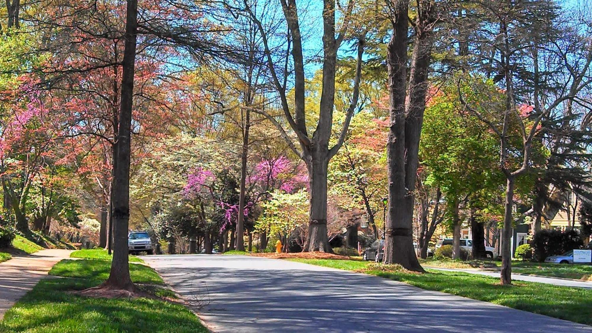 Chic And Relaxing 1br In The Heart Of Myers Park *